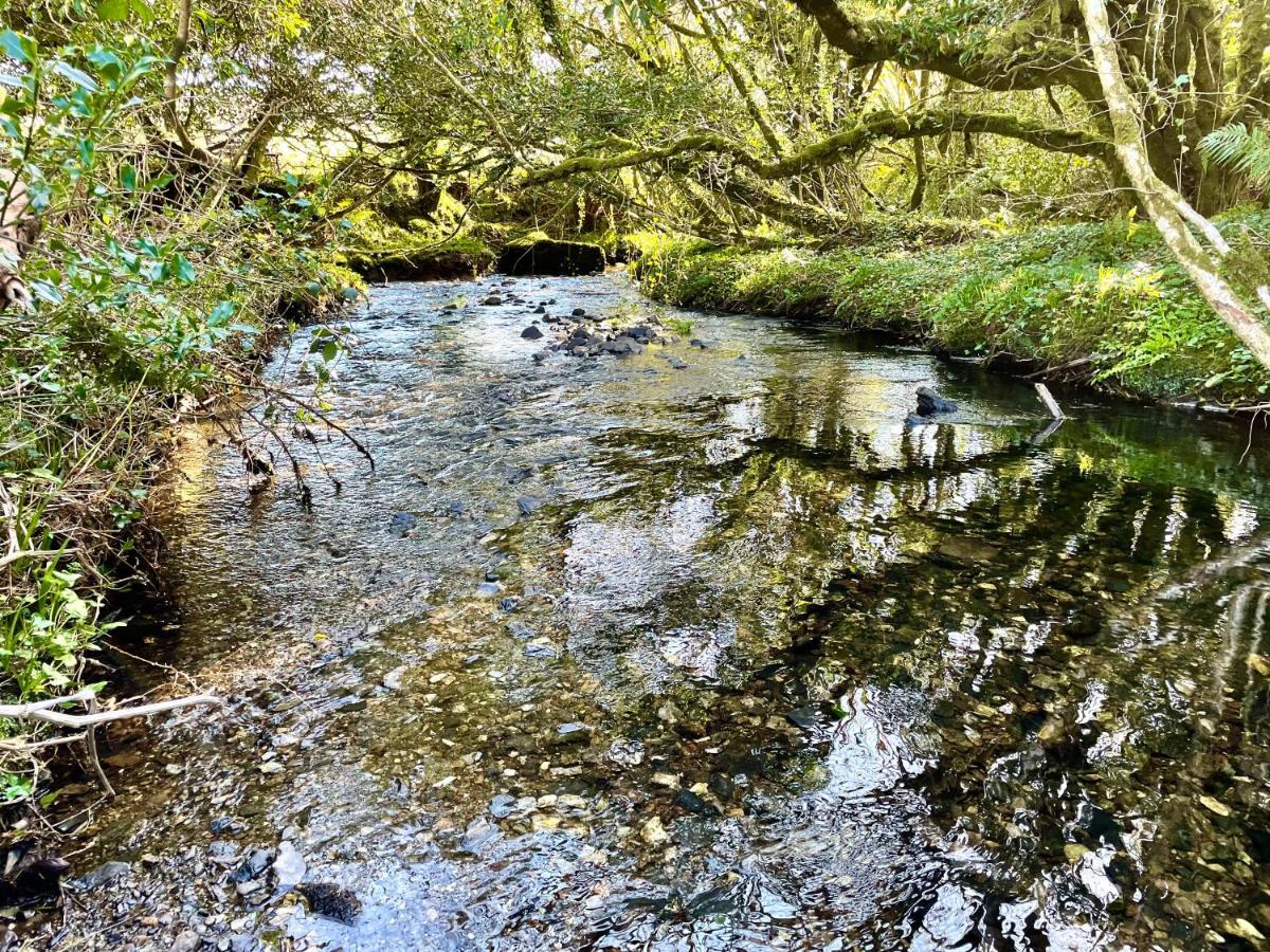 Stepping Stones Glamping 'The Olive' Βίλα Bantry Εξωτερικό φωτογραφία